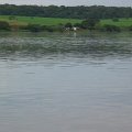 Image-2AB0B592973411D8