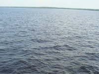 DSC08472