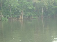 DSC08623