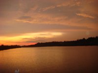 DSC08661