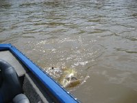 IMG 1543