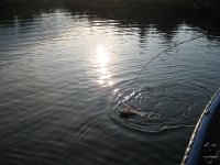 IMG 1556