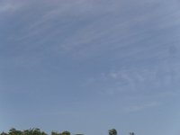SDC10164