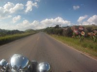 GOPR0886