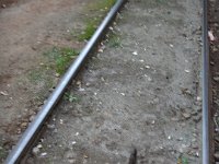 DSC00306