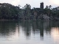 DSC00316