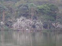 DSC00319